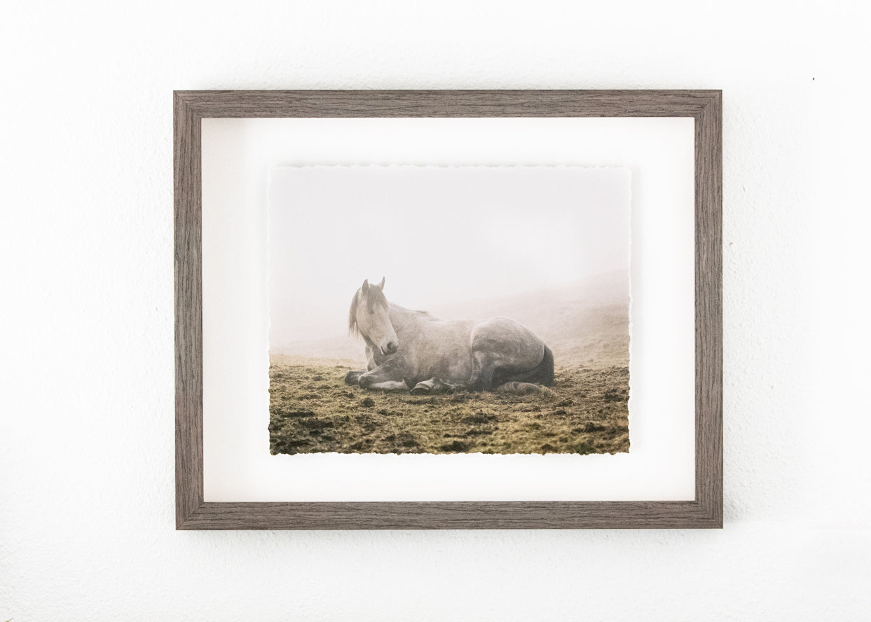 Float Frames