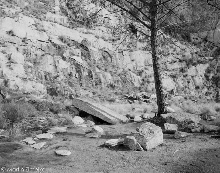 Rollei Ortho 25, 35mm, 36 Exp., Black and White Film