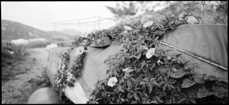 Rollei RPX 400, 35mm, Black and White Film, 100 ft roll