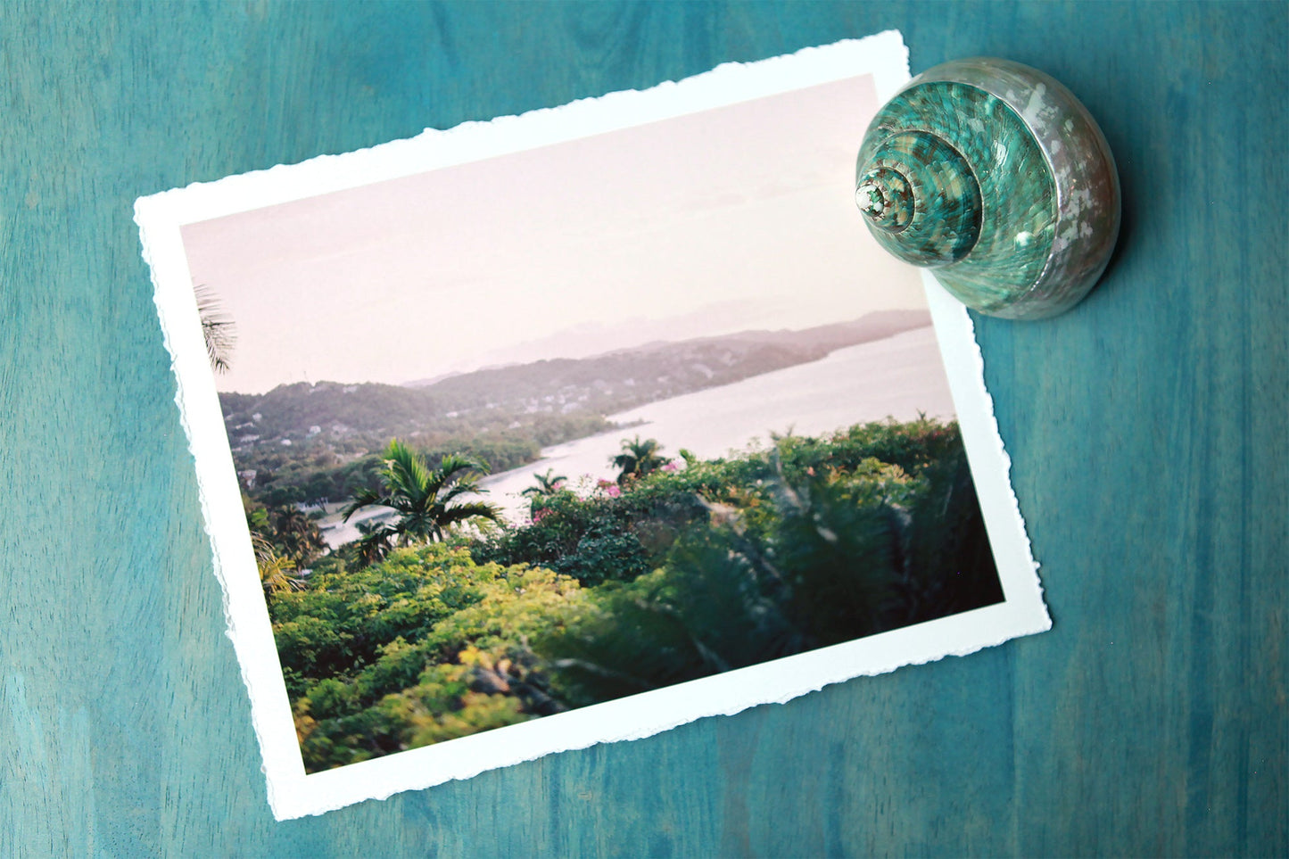Fine Art Prints