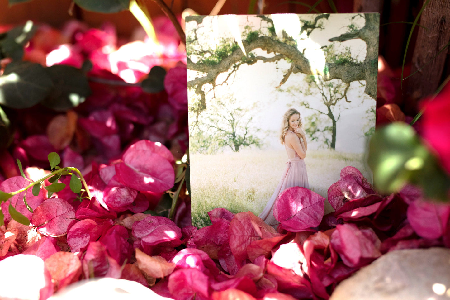 Fine Art Prints