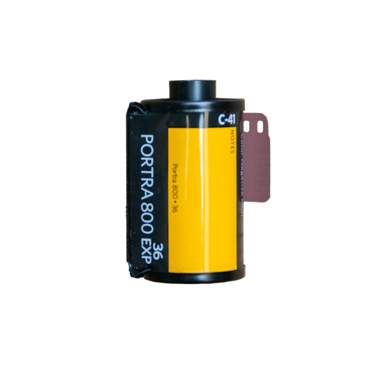 Kodak Portra 800, 35mm, Color Film