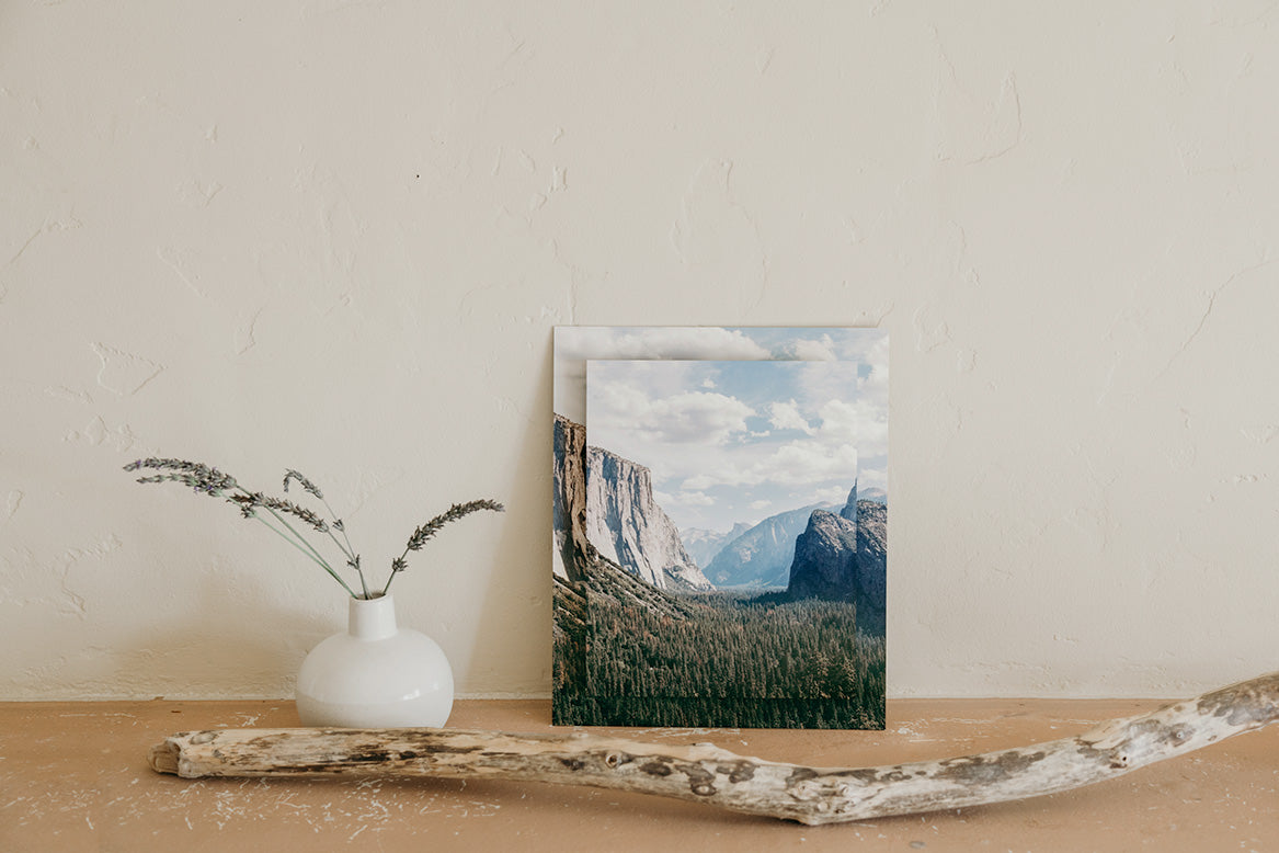 Metal Prints