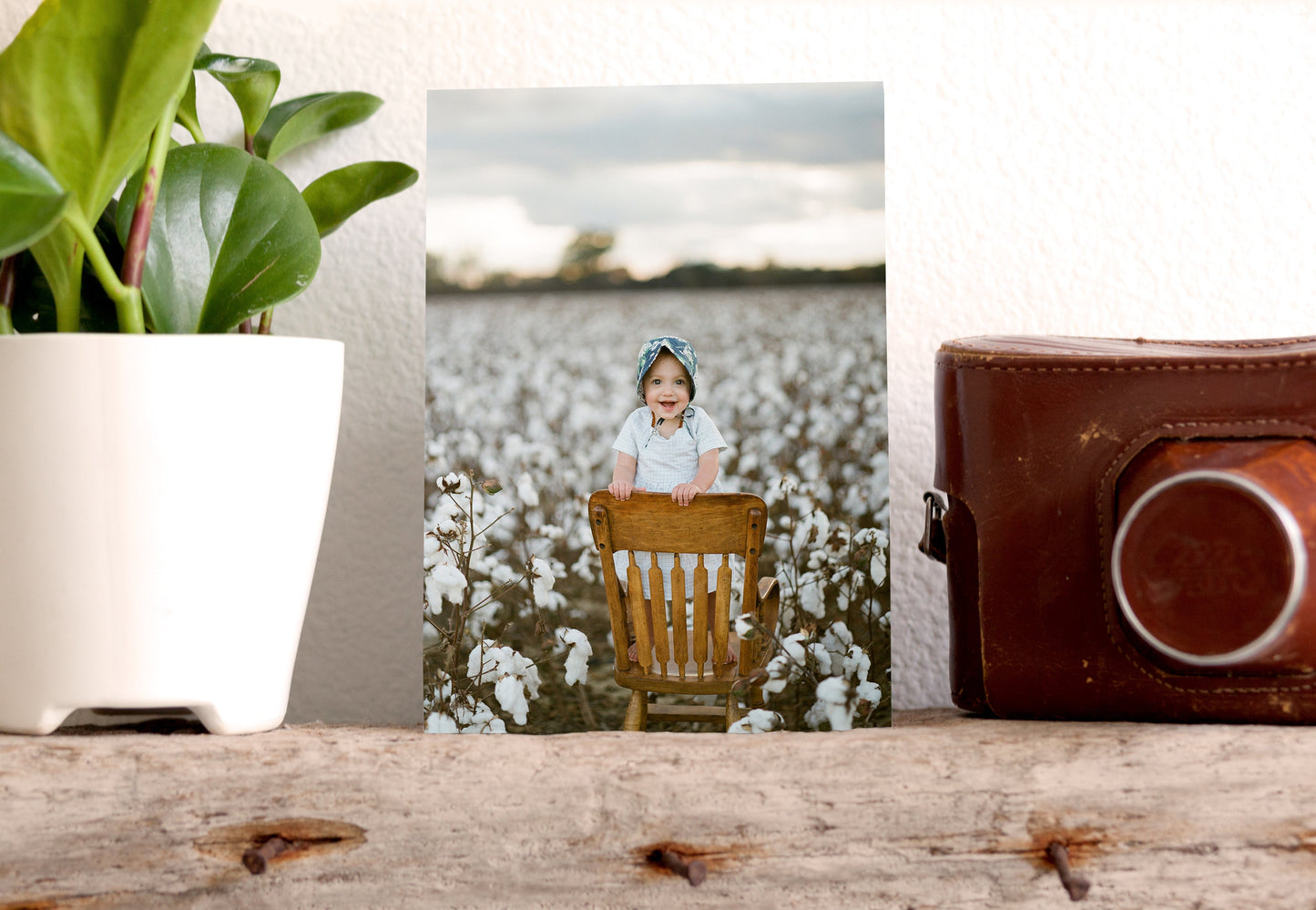 Album Prints