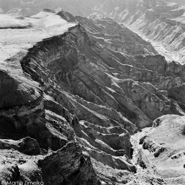 Rollei Infrared 400, 4x5, 25 Sheets, Black and White Film