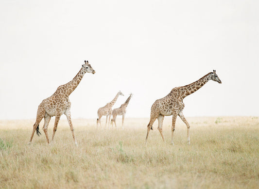 10 Reasons Why KT Merry Still Shoots Film