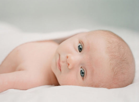 Richard's Photographer Spotlight: Sandra Coan