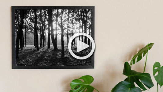 Behind The Print: Framed Prints