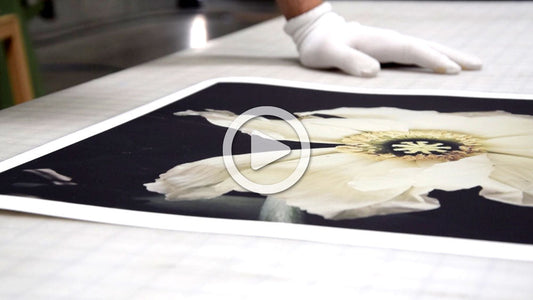 Behind The Print: Elegant Packaging Inspiration